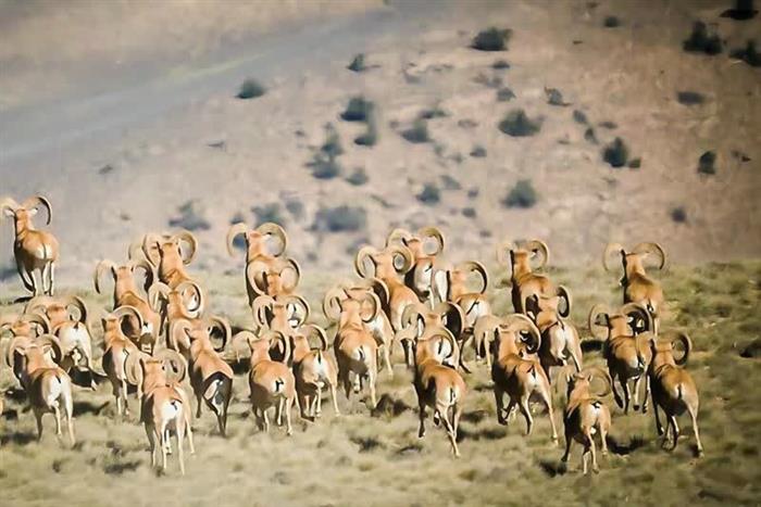 حفاظت از محیط زیست نیازمند فناوری‌های نوین است/ هیچ طرح توسعه‌ای نباید محیط زیست را به مخاطره بیندازد