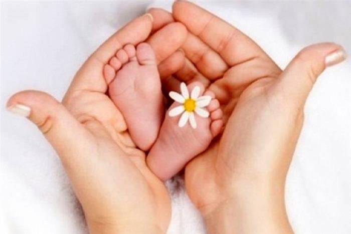 معاون دفتر خدمات تخصصی و فوق تخصصی سازمان بیمه سلامت ایران: پوشش بیمهای ۹۰ درصدی خدمات درمانی ناباروری/۱۱۸ هزار زوج نابارور نشاندار شدهاند معاون دفتر خدمات تخصصی و فوق تخصصی سازمان بیمه سلامت ایران: پوشش بیمهای ۹۰ درصدی خدمات درمانی ناباروری/۱۱۸ هزار زوج نابارور نشاندار شدهاند