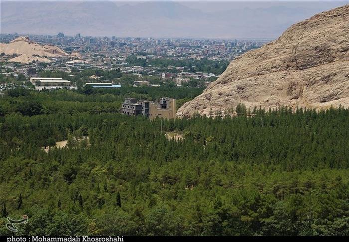 در طرح توسعۀ جنگل قائم کرمان انجام میشود؛ کاشت درختان میوه در کنار گونههای قدیمی کاج و سرو در طرح توسعۀ جنگل قائم کرمان انجام میشود؛ کاشت درختان میوه در کنار گونههای قدیمی کاج و سرو