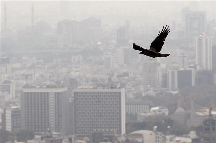 با افزایش ریزگردها؛ کیفیت هوای کرمان به وضعیت خطرناک رسید