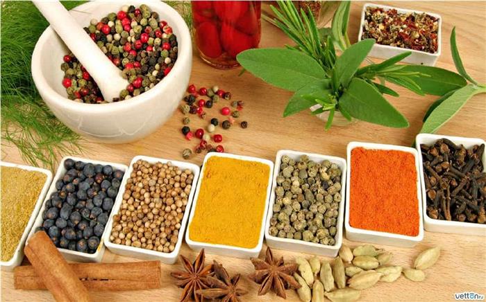 هشدار درباره ویزیتهای غیرمجاز درمانهای سنتی؛ ماهانه یک مرکز متخلف طب سنتی در کرمان پلمب میشود هشدار درباره ویزیتهای غیرمجاز درمانهای سنتی؛ ماهانه یک مرکز متخلف طب سنتی در کرمان پلمب میشود