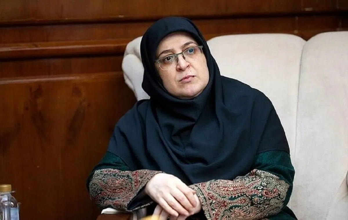 مهاجرانی: چک‌های برگشتی تا پایان شهریور بدون مشکل کارسازی می‌شوند