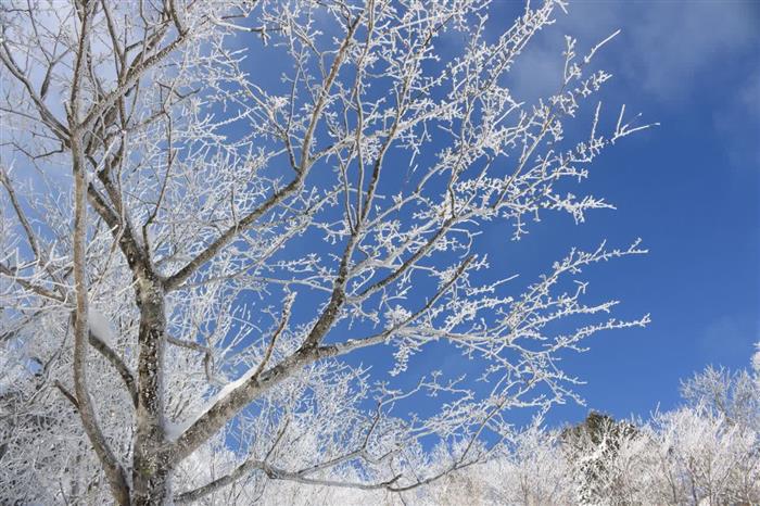 کارشناس هواشناسی اعلام کرد: پیشبینی کاهش محسوس دما و یخبندان در استان کرمان تا پایان هفته جاری کارشناس هواشناسی اعلام کرد: پیشبینی کاهش محسوس دما و یخبندان در استان کرمان تا پایان هفته جاری