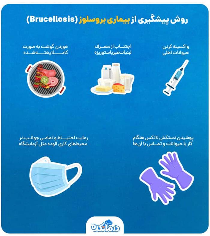 در کمیته فنی ادارهکل دامپزشکی استان کرمان مطرح شد: واکسیناسیون جمعیت هدف مهمترین راه پیشگیری از بیماری بروسلوز در کمیته فنی ادارهکل دامپزشکی استان کرمان مطرح شد: واکسیناسیون جمعیت هدف مهمترین راه پیشگیری از بیماری بروسلوز